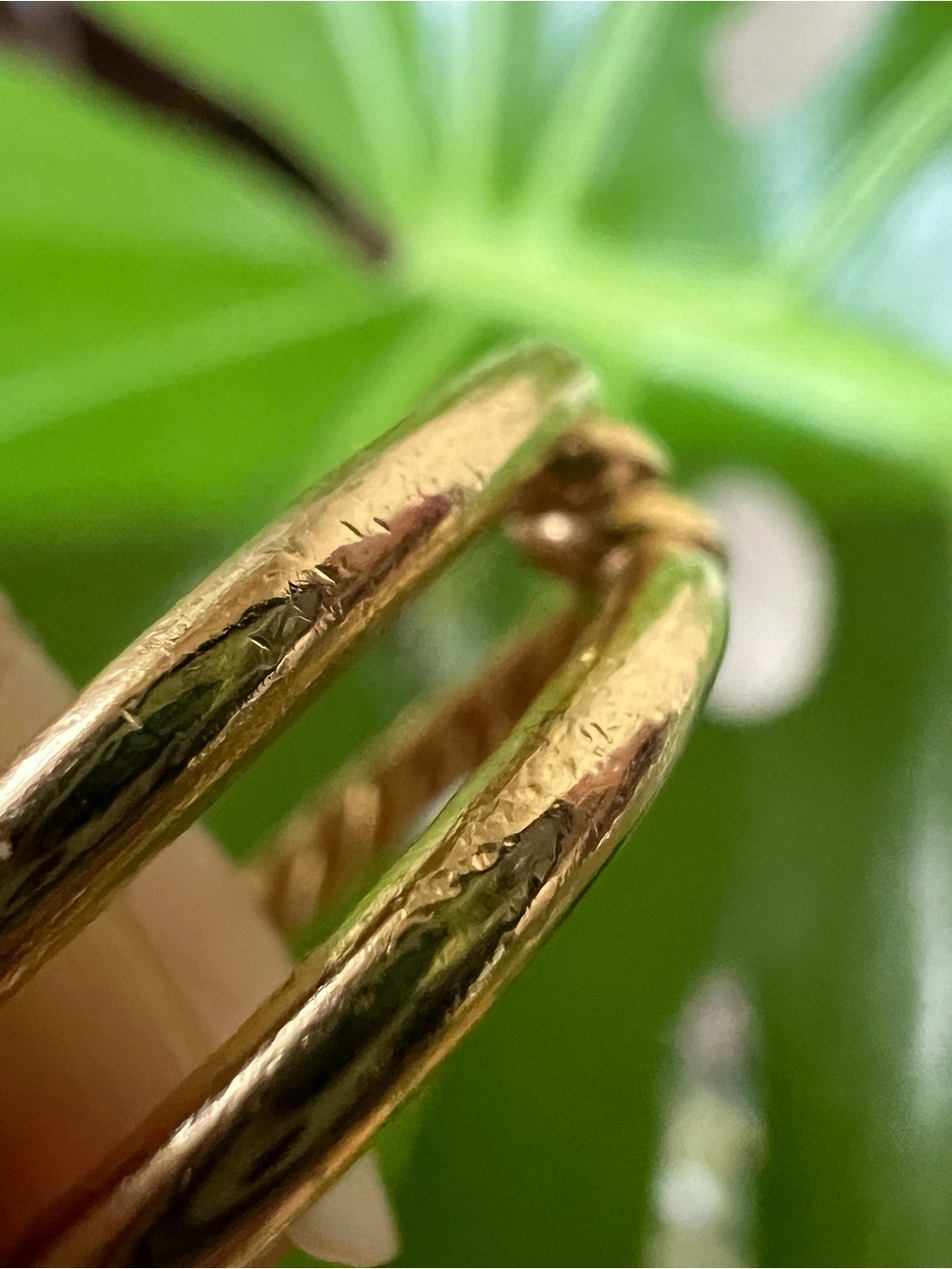 ❤️ David Yurman 18K Continuance Ring Sz 6 - Picture 7 of 13